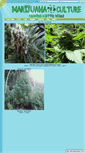 Mobile Screenshot of marijuana-culture.com